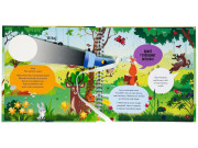 Presvieť a hľadaj - Les