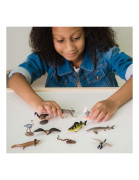 Tuba - Veľké jazerá