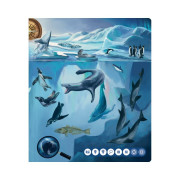 Kúzelné čítanie kniha Tajomstvo morí a oceánov Albi