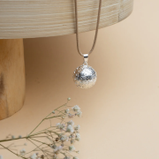 Tehotenská rolnička - Flora Strieborná