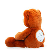 Plyšový rozprávkový medvedík 30 cm hovoriaci