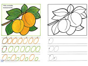 Do školy zo škôlky 1 Andrej Čerevka