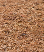 Detský matrac do postieľky 60x120 cm kokos-pena-pohánka Luxe Aloe Vera