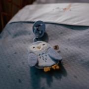 Muchláčik na cumlík sova Forest Friends Little Dutch