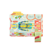 Ako funguje ľudské telo? Albi