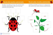 Môj veľký zošit Montessori objavuj svet