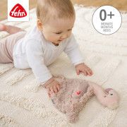 Muchláčik plameniak, Pink Baby Fehn