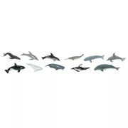 Tuba - Veľryby a delfíny