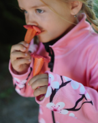 Fleecová mikina detská Sakury ružová Wamu