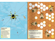 Môj samolepkový zošit o prírode Hmyz zo záhrady