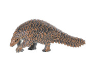 Zoolandia zvieratká safari