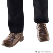 Harry Potter a tajomná komnata bábika - Sirius Black