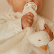 Muchláčik hus Newborn Naturals Little Dutch