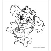 Mini omaľovánky s pastelkami Tlapková Patrola