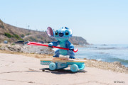 RC Surfer 25 cm Stitch