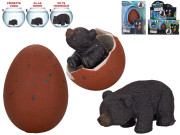 Medveď čierny liahnuci a rastúci