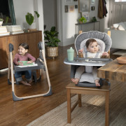 Stolička jedálenská multifunkčná Wesley™ 0 m+ do 23 kg Ingenuity