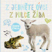 Z jahnite ovce, z žubrienky žaba - Životný cyklus