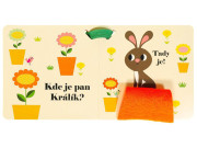 Kde je pán Psík? Knižka do kočíka