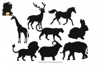 Škrabací obrázok, výrez dúhový zvieratá 8 ks