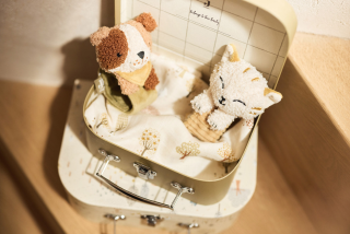 Hrkálka na ruku Jollein