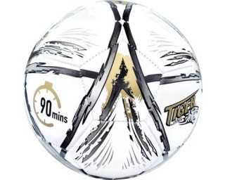 Lopta futbalová, veľkosť 5, strieborno-zlatá