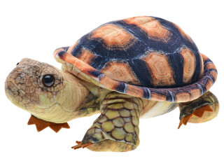 Korytnačka plyšová 25 cm stojaca 0 m+