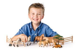 Súprava koní s grošiakom Faunica