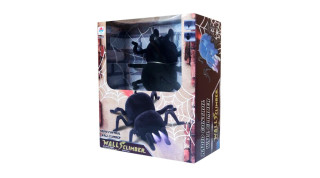 Pavúk lezúci po stene