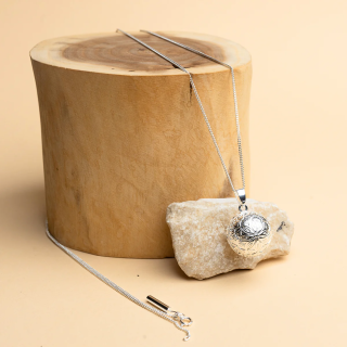 Tehotenská rolnička - Flora Strieborná