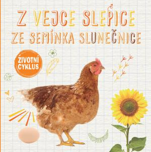 Z vajcia sliepky, zo semienka slnečnice - Životný cyklus