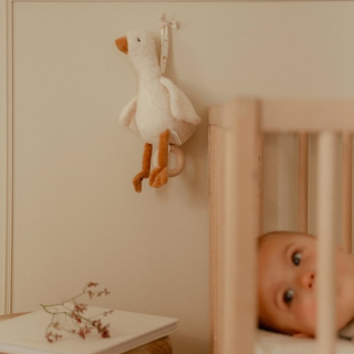 Hudobná hus Newborn Naturals Little Dutch