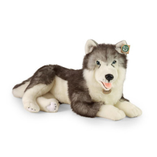 Plyšový pes husky ležiaci 60 cm Rappa