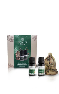 Sada kúzlo zimného domova