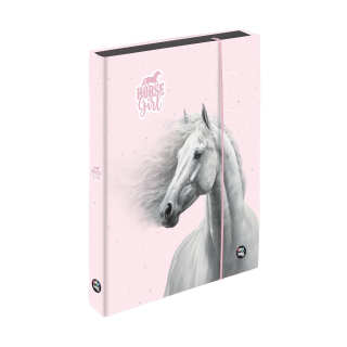 Box na zošity A5 Jumbo kôň romantic