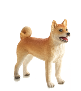 Mojo Pes Shiba Inu