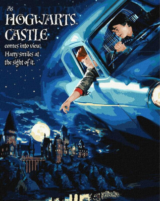Maľovanie podľa čísel - Harry Potter Let autom 40 x 50 cm