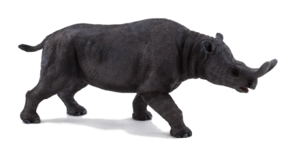 Mojo Brontotherium