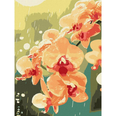 Maľovanie podľa čísel - Orchidea 30 x 40 cm