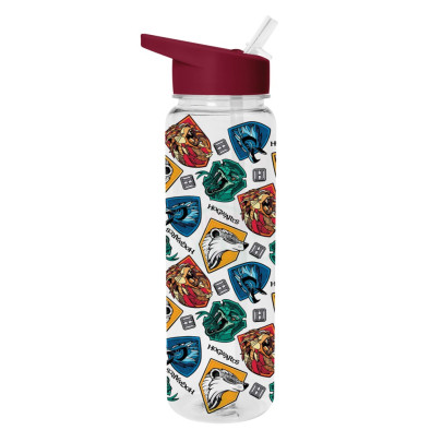 Fľaša plastová 700 ml Harry Potter