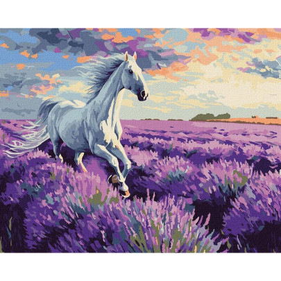 Maľovanie podľa čísel - Kôň v levanduľovom poli 40 x 50 cm
