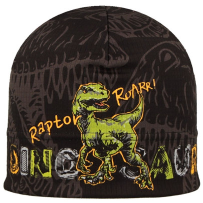 Funkčná čiapka Picowinter Dino Roarr Šedá RDX