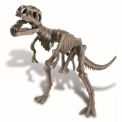 4M Dinosauria kostra - Rex