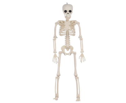 Dekorácia Halloween kostlivec 45 cm na zavesenie