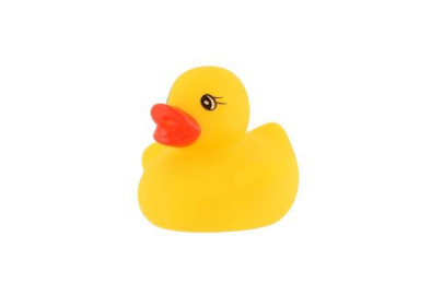Kačička svietiaca vo vode Teddies