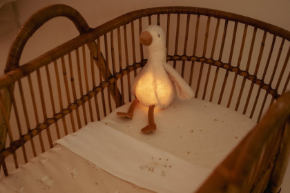 Zaspávač hus Newborn Naturals Little Dutch