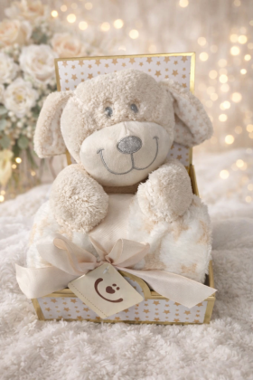 Plyšová hračka s dekou 75x100 cm