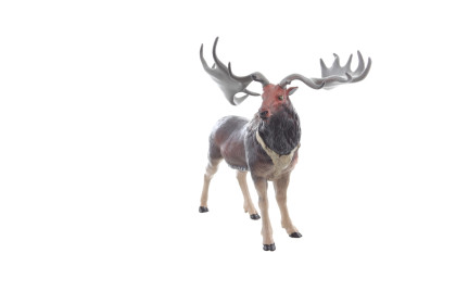 Žreb