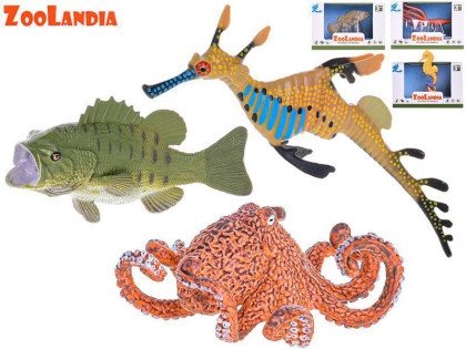 Zoolandia morské zvieratká