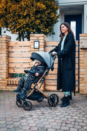 Športový kočík Estelle Dakar čierny Ginko MoMi
